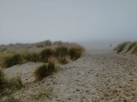 Oostduinkerke (België)